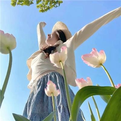 丹特丽安的书架